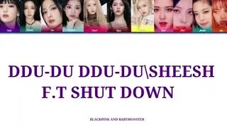 DDU-DU DDU-DU\SHEESH(F.T SHUT DOWN)#kpop #blackpink #korea #youtubeshorts #youtube #viral #usa #rap