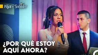 Oigan Todos Aquí Las Cosas Se Van A Poner Feas - Pájaro Soñador