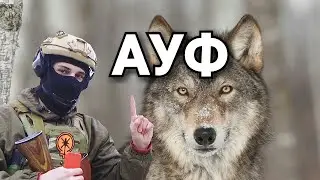 НЕДОПАРТИЗАНЫ, БЛИН)