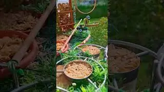 @Autumn Feeders 🐦🐦‍⬛🥜🥣❤️🤩#video #birds #trending #motivation