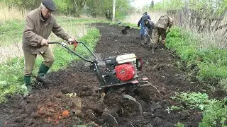 Cuttlefish cutters, testing, and a little about the garden