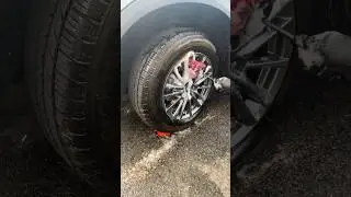 Wheel detailing is simple with a wheel and rim brushes that reach everywhere # #carcleaning #wheels