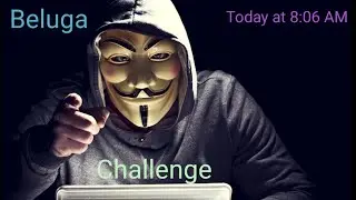 Beluga challenge