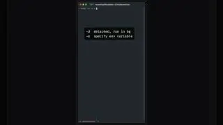 How I run commands with Docker containers
