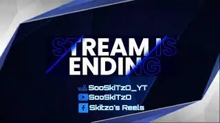 "Skitzo's Logo Designing" Streamer Kit Examples