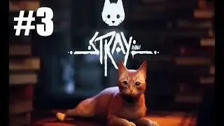 Случайные находки оказались не случайными /|\ Stray Прохождение #3