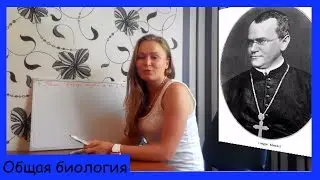 Грегор Мендель. Первый закон Менделя