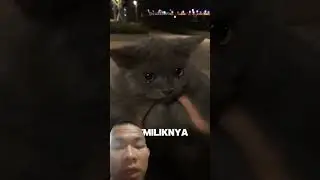 Kenapa kalajengking ini bisa menyala⁉️😱 #reaction #fyp #shorts