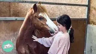 Shy Pony Didn't Have Any Friends Until He Met This Kid  | Cuddle Buddies