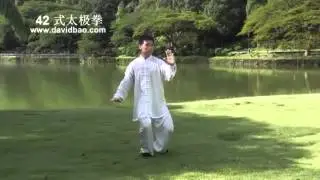 Tai chi 42 form David Bao