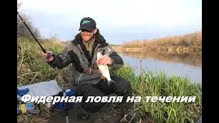 Feeder fishing in the current!