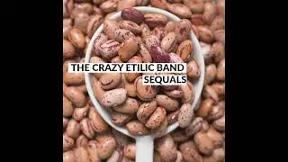 San Jimmy 2021 - THE CRAZY ETILIC BAND - Sequals