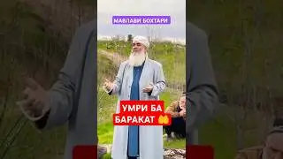 МАВЛАВИ БОХТАРИ УМРИ БА БАРАКАТ 🤲 Ба Дӯстҳоятон низ Бифиристед то Савоб бигиред 🤝🤲👍🌺🌼💖