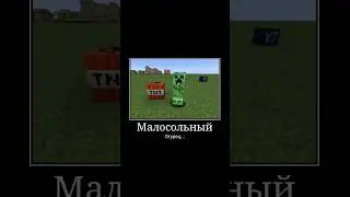 Друг который не разу не играл майнкрафт угадывает мобов #minecraft #мем