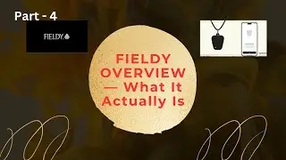 Fieldy Overview: What It Actually Is & How It Helps You (Complete Review – Part 4)