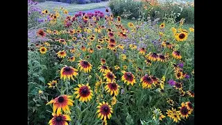 10 Great Gardening Tips: Everyone Can Grow a Garden (2022) #28