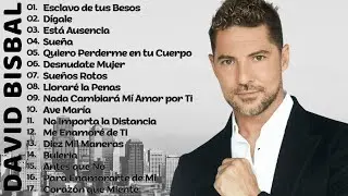 David Bisbal y Chayanne - Sus Mejores Canciones | MIX ROMANTICOS #davidbisbal #bisbal