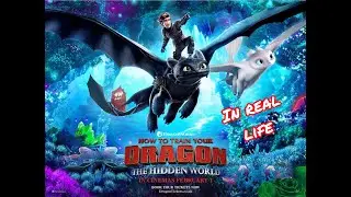 How To Train Your Dragon Characters In Real Life
