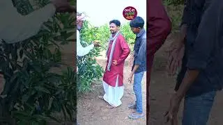 એ ધરતી ચાંદ સિતારા એ નદી યા  || ગુજરાતી કોમેડી ||