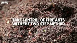 AV11   Amdro Fire Ant Bait Mounds 2lb   2 Step V3