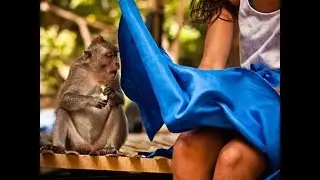 46 Funny Photos Taken at the Right Moment | Interesting Facts Verse