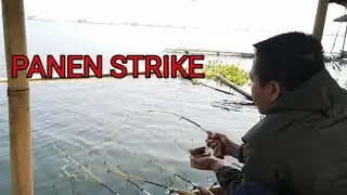 Mancing di jatiluhur spot andalan