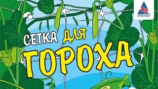 Установка опоры для гороха