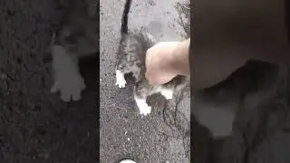 Лишние запчасти😂