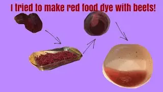I tried to make red food dye powder from beets!