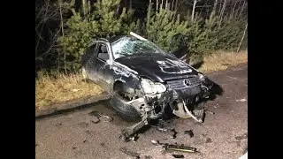Лось выбежал на дорогу: жесткое ДТП в Ровенской области