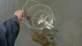 And again fishing on Cheptsa.