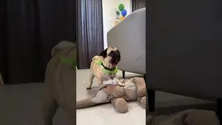 ОСКАР И ДЖОНИ ПОДРАЛИСЬ 😳