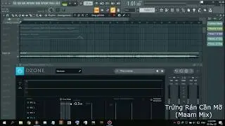 Trứng Rán Cần Mỡ (Maam Mix)