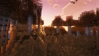 Autumn Leaves Lofi 🍂