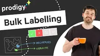 Bulk Labelling and Prodigy