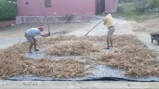 BATENDO FEIJÃO