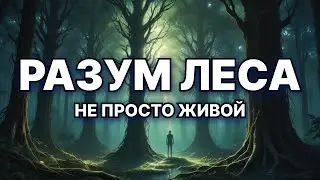 Тайная Социальная Сеть Деревьев или Биокомпьютеры из грибов