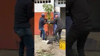 El Último Video 🙏🌍🌳