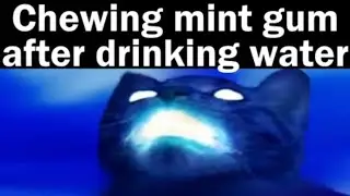 Relatable Memes Picture 