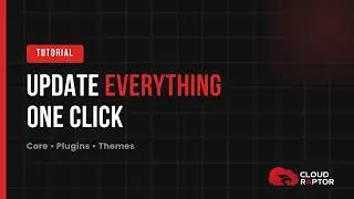 How to Update WordPress (Core, Plugins & Themes) in One Click 🚀