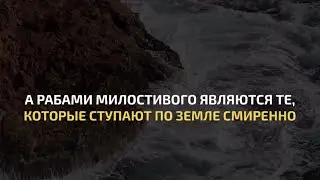 Сура 25 Al-Furqan | Мухаммад Люхайдан | Красивое чтение Корана