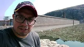 CERDO BARRENADORA