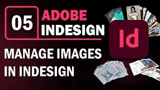 How to Manage Images in InDesign | Ch - 5