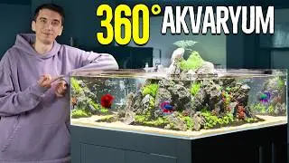 I Built a 360 Degree Aquarium! (225,000 TL)