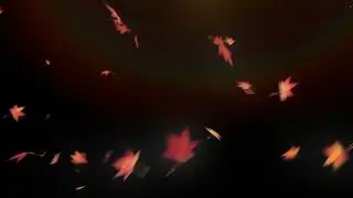 Flower Petals Animation Background Freee