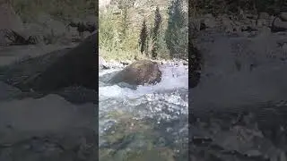 Горный Алтай 2024 г.