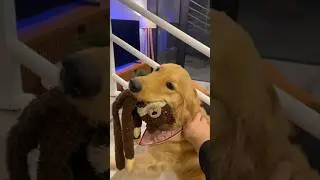 DESCOBRI QUE SOU PAI 😳