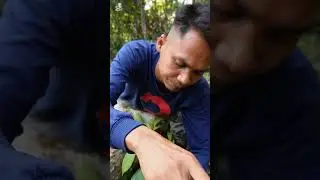 Cara ukur ph tanah dengan menggunakan alat ini