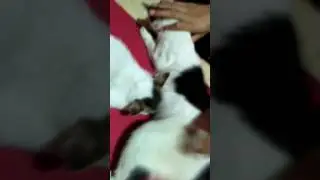 Nenen dulu..wkwkwk