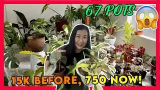 The widest array of Plant I’ve Hauled ever! | Bohol Plant Expo 2023 Plant Haul